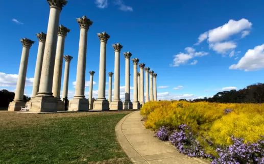 U.S. National Arboretum in Fall