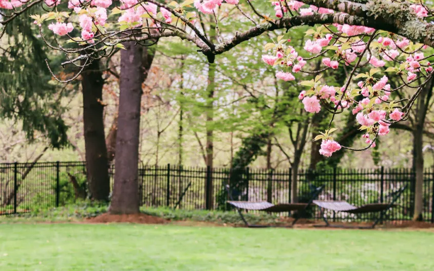 washington dc
